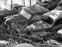 Autofriedhof - 127